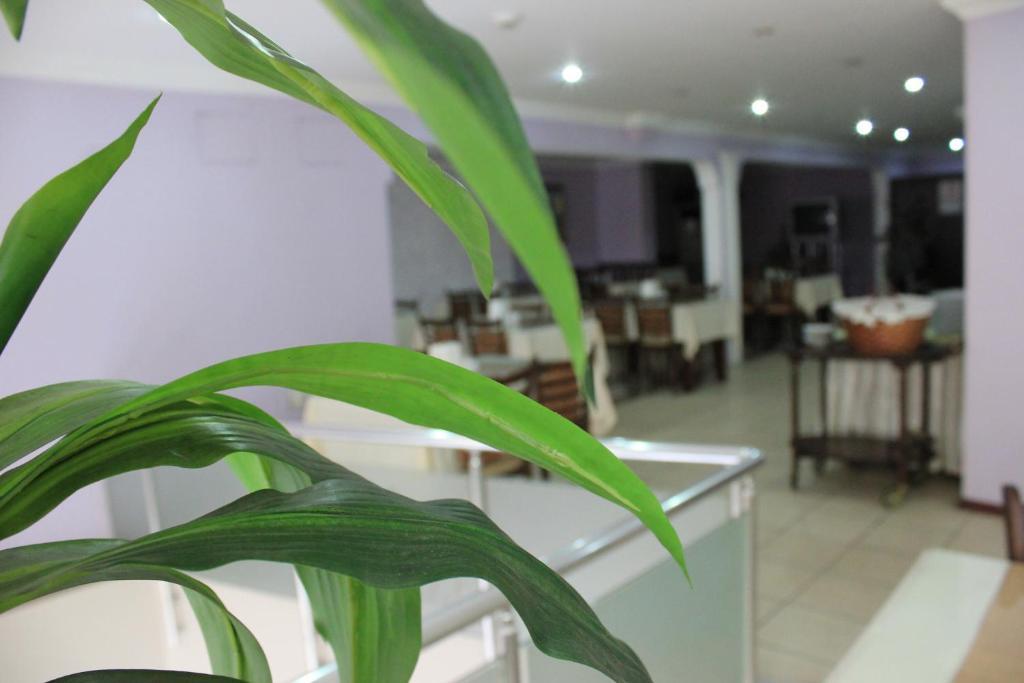 Nazar Hotel Trabzon Buitenkant foto